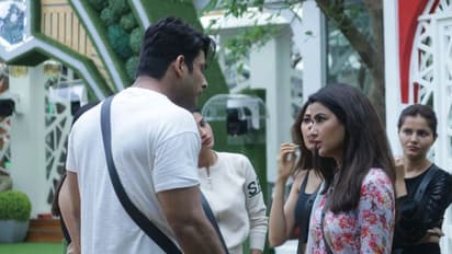 Bigg Boss 14: Sidharth Shukla, Gauahar Khan face-off, Eijaz Khan refuses to clean vessels
