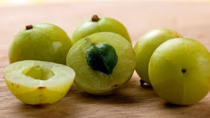 এই মরশুমে অবশ্যই খান আমলকি, মিলবে ১০ জটিল সমস্যা থেকে মুক্তি