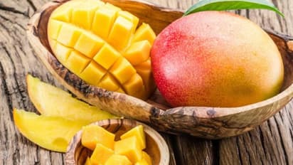 ഒരു മാവില് തന്നെ 121 തരം മാമ്പഴം; ഇത് അപൂര്വമായ പരീക്ഷണം...