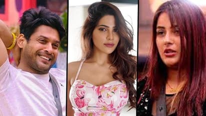 Bigg Boss 14: Is Nikki Tamboli trying to be Shehnaaz Gill? Calls Sidharth Shukla 'Marriage Material'
