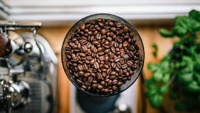 Instead of discarding eggshells, you can use them for various purposes!