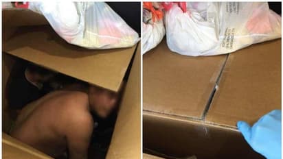 കാര്ഡ് ബോര്ഡ് പെട്ടികളില് അതിര്ത്തി കടക്കാന് ശ്രമം നടത്തി 13 പേരെ പൊലീസ് നായ കുടുക്കി