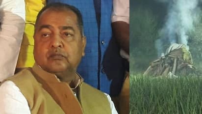 'কেন বাজরার ক্ষেতেই উদ্ধার হল মৃতদেহ', হাথরসের নির্যাতিতাকে নিয়ে প্রশ্ন বিজেপি বিধায়কের