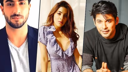 Bigg Boss 14: Aly Goni calls out at Nikki Tamboli for being 'other woman' amid Sidharth Shukla, Shehnaaz Gill