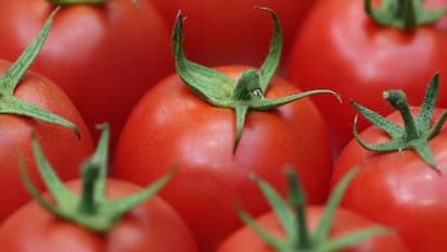 ಹುಷಾರ್... ಅಪ್ಪಿ ತಪ್ಪಿಯೂ ಫ್ರಿಜ್ ನಲ್ಲಿ ಈ ವಸ್ತುಗಳನ್ನು ಇಡಲೇಬೇಡಿ..