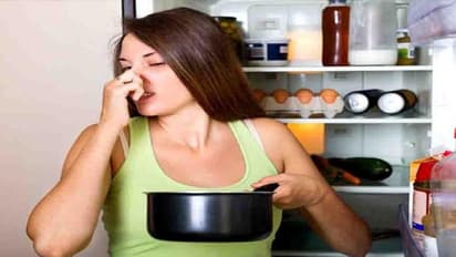 ಯಾವ ಆಹಾರಗಳನ್ನು ಎಷ್ಟು ದಿನ ಫ್ರಿಡ್ಜ್ ನಲ್ಲಿ ಸಂಗ್ರಹಿಸಿದರೊಳಿತು?