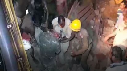 বাবাকে বাঁচাতে দুই ভাইয়ের ঝুঁকি, গ্রামবাসীদের রুদ্ধশ্বাস লড়াইয়ের পরও মর্মান্তিক মৃত্যু