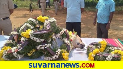 ಮಡಿಕೇರಿ: 400ಕ್ಕೂ ಹೆಚ್ಚು ಸ್ಫೋಟಕ ತಪಾಸಣೆ ನಡೆಸಿದ್ದ ಶ್ವಾನ 'ರ‍್ಯಾಂಬೋ' ಇನ್ನಿಲ್ಲ