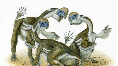 വിചിത്രമായ ദിനോസറിന്റെ അസ്ഥികൂടം കണ്ടെത്തി, സാമ്യം ഭീമാകാരമായ തത്തയോട് !