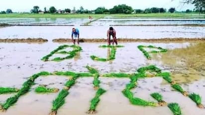 ফ্যাক্ট চেকে দিলীপ ঘোষের শেয়ার করা ছবি, সেটি মিথ্যা বলে দাবি তৃণমূলের