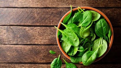 ರೆಸಿಪಿ lehsuni palak - ಈ ಡಿಶ್‌ ಟ್ರೈ ಮಾಡಿ ನೋಡಿ !