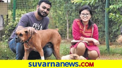 ಮದುವೆ ದಿನ 500 ಬೀದಿ ಪ್ರಾಣಿಗಳಿಗೆ ಔತಣ, ಮಾದರಿಯಾದ ಈ ಜೋಡಿ!