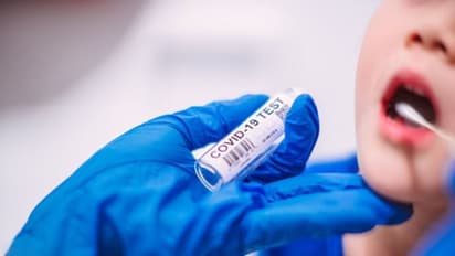 দেশে করোনাভাইরাস চিত্রের উন্নতি, গুটি গুটি পায়ে ভারত এগিয়ে যাচ্ছে আমেরিকার দিকে