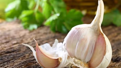 সকাল বেলায় খালি পেটে এক কোয়া রসুন, ৫ সমস্যায় কাজ করবে ম্যাজিকের মতন