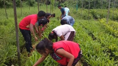 കൃഷിയെ സ്നേഹിക്കുന്നവര്ക്ക്, കൃഷി ചെയ്യാനാഗ്രഹിക്കുന്നവര്ക്ക്; അതിനായി ഒരു കോളേജ്