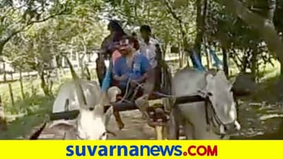 25 ವರ್ಷಗಳ ನಂತ್ರ ಎತ್ತಿನ ಗಾಡಿ ಓಡಿಸಿದ ಗುರುದೇಶಪಾಂಡೆ; ಟ್ರಾಫಿಕ್ ಜಾಮಿಲ್ಲ, ಪೊಲ್ಲ್ಯೂಷನ್ ಇಲ್ಲ