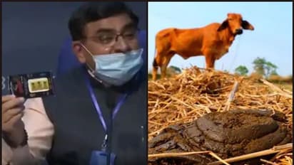 ചാണകം ഉപയോഗിച്ച് 'ആന്റി റേഡിയേഷന് ചിപ്പ്' പുറത്തിറക്കി രാഷ്ട്രീയ കാമധേനു അയോഗ്