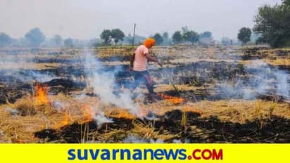 ಪಂಜಾಬ್‌ನಲ್ಲಿ ದಾಖಲೆ ಪ್ರಮಾಣದಲ್ಲಿ ಪೈರಿನ ಕಳೆಗೆ ಬೆಂಕಿ; ಆತಂಕದಲ್ಲಿ ದೆಹಲಿ!