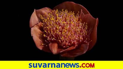 #Feelfree: ನನ್ನ ಗಂಡನಿಗೆ ಯೋನಿ ಕಂಡರೆ ಭಯ, ಇದ್ಯಾಕೆ?