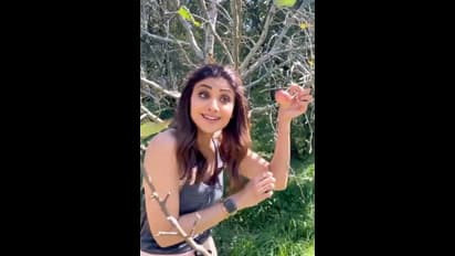 ಮನಾಲಿ ಸೇಬಿನ ತೋಟದಲ್ಲಿ ಶಿಲ್ಪಾ ಶೆಟ್ಟಿ..! ಫೋಟೋಸ್ ನೋಡಿ