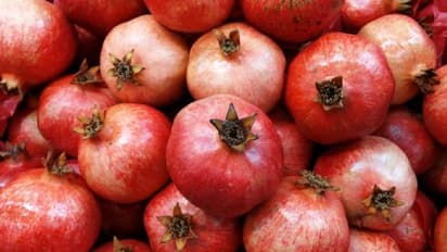 ಸೆಕ್ಸ್ ಹಾರ್ಮೋನ್ ಬಿಡುಗಡೆಗೆ ಸಹಾಯ ಮಾಡುತ್ತೆ ದಾಳಿಂಬೆ ಹಣ್ಣಿನ ರಸ..!