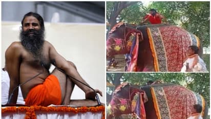 ఏనుగుపై కూర్చొని యోగా.. కిందపడిపోయిన రాందేవ్ బాబా