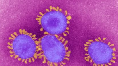 তবে কি দেশ কাটিয়ে উঠল প্রথম পর্বের ধাক্কা, করোনা মহামারির গ্রাফ নিম্নমুখী