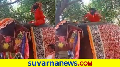 ಆನೆ ಮೇಲೆ ಯೋಗಾಸನ, ಉರುಳಿ ಬಿದ್ದ ಬಾಬಾ ರಾಮ್‌ದೇವ್‌!