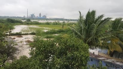 Farm laws: Key to earn more lies in crop diversification