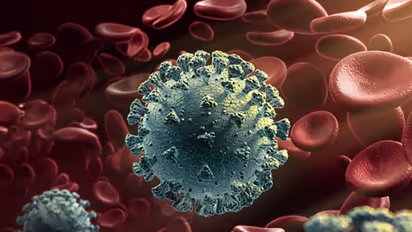 Karnataka reports 3,156 fresh COVID-19 cases, 31 deaths on Thursday