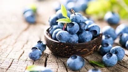 ಜೀರ್ಣ ಕ್ರಿಯೆಯಿಂದ, ಹೃದಯದ ಆರೋಗ್ಯದವರೆಗೆ ಬ್ಲೂ ಬೆರ್ರಿ ಬೆಸ್ಟ್..!