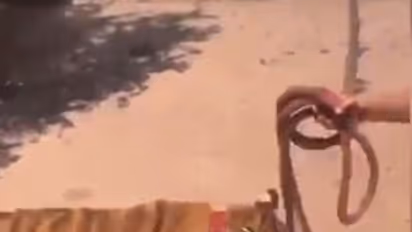 കടുവയുമായി സവാരിക്കിറങ്ങിയ പെണ്‍കുട്ടി ; ചിത്രങ്ങള്‍ കാണാം