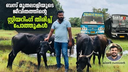 ആറ് ബസുകളുള്ള നജീബിന്റെ ഷെഡിലിപ്പോള് വണ്ടികളല്ല, പോത്തുകള്!