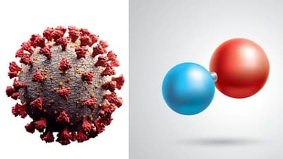 কোভিড-বিশ্বে দারুণ খবর, ভ্যাকসিন আসার আগেই পাওয়া গেল করোনা নিয়ন্ত্রণের কার্যকর দাওয়াই