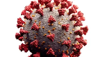 Coronavirus: India reports lowest COVID-19 count in a week, tally crosses 82-lakh mark