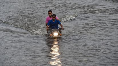 IMD predicts heavy to very heavy rainfall in Kerala, Tamil Nadu in next 5 days