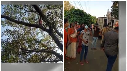 കൊച്ചിയിലെ പൊലിസ് സ്റ്റേഷന് മുന്നിലെ ആല്മരത്തില് കയറി ട്രാൻസ്ജെന്റര് യുവതിയുടെ ആത്മഹത്യാശ്രമം