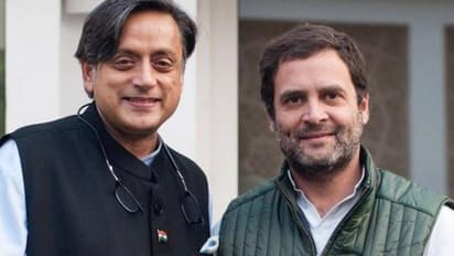 राहुल का नाम 'राहुल लाहौरी', कांग्रेस का पाकिस्तान नेशनल कांग्रेस...BJP ने थरूर को लेकर यूं साधा निशाना