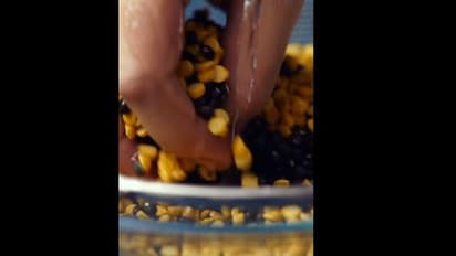 गुरुद्वारे में ऐसे बनाई जाती है लंगर वाली दाल, 1 नहीं, घी से 2 बार लगाते हैं छौंक