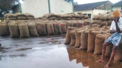 తెలంగాణకు కేంద్రం గుడ్‌న్యూస్... ఖరీఫ్ సీజన్‌లో బియ్యం సేకరణకు గ్రీన్‌సిగ్నల్