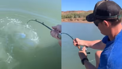 മീന് ചൂണ്ടയില് കുരുങ്ങിയ വമ്പന്; ലക്ഷക്കണക്കിന് പേര് കണ്ട വീഡിയോ...