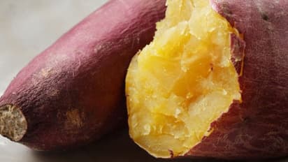 രോഗപ്രതിരോധശേഷി കൂട്ടാൻ വിറ്റാമിൻ എ അടങ്ങിയ ഈ ഭക്ഷണങ്ങൾ സഹായിക്കും