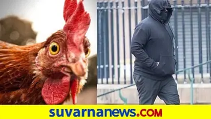 ಹೆಂಡತಿಯೊಂದಿಗೆ ಸೆಕ್ಸ್... ನಂತ್ರ ಕೋಳಿಗಳ ಜತೆ... ವಿಡಿಯೋ ಮಾಡ್ತಿದ್ದ ಪತ್ನಿ!