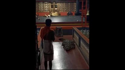 ఆలయంలోకి దూరిన మొసలి.. పూజారి వేడుకోవడంతో...