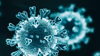 കൊവിഡ് രോഗമുക്തി നേടിയവര്‍ക്ക് വീണ്ടും വൈറസ് ബാധയുണ്ടാകാനുള്ള സാധ്യതയുണ്ടെന്ന് ഐസിഎംആര്‍