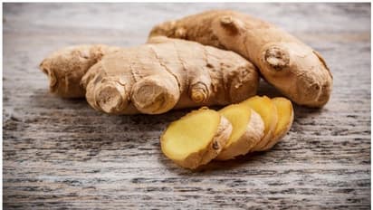Ayurveda: Multiple uses of ginger, make it one of the most significant herbs in ancient practice