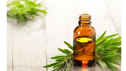 Benefits of tree tea oil for your skin and hair