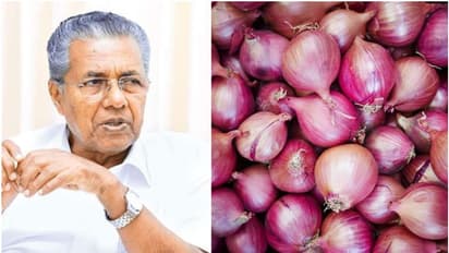 ഉള്ളിവില കൂടുന്നു; നിയന്ത്രിക്കാന് നടപടി സ്വീകരിച്ചെന്ന് മുഖ്യമന്ത്രി