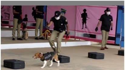 പത്താമത് ഡോഗ് സ്ക്വാഡ് ബാച്ച് പരിശീലനം പൂര്ത്തിയായി; 22 നായ്ക്കള് കേരള പൊലീസ് സേനയുടെ ഭാഗം