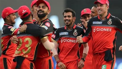 IPL 2020: RCB to wear green jersey against CSK, intend to sensitize fans for natural resources